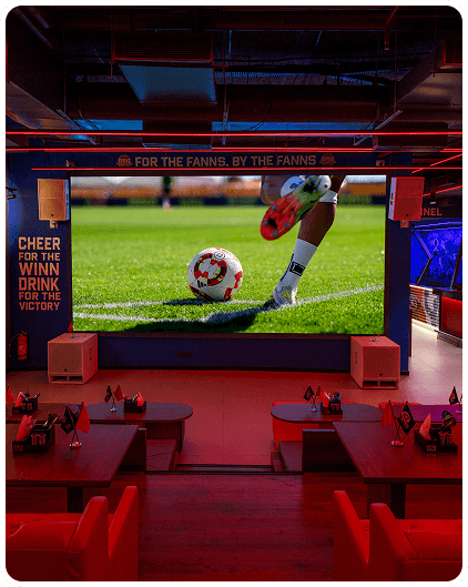 Sports viewing experience